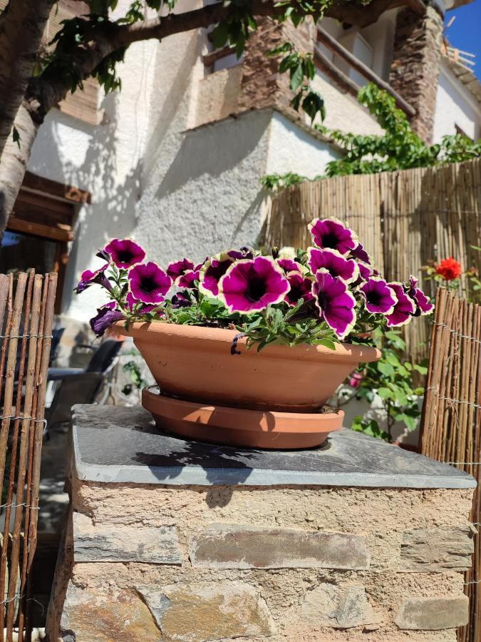 Casa Alpujarrena Fina Numero 27 Бубион Экстерьер фото